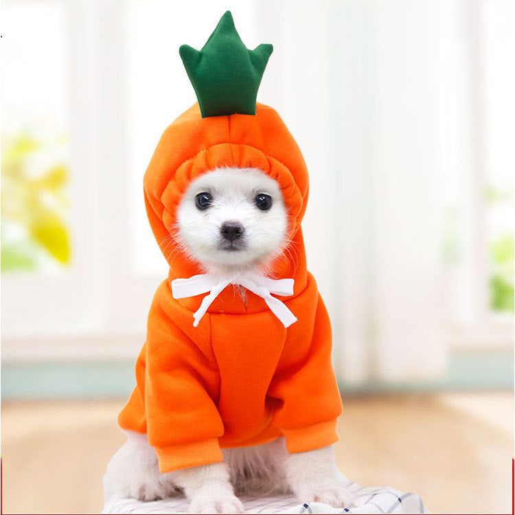 Fruity Fleece Hoodie for Small Dogs & Cats