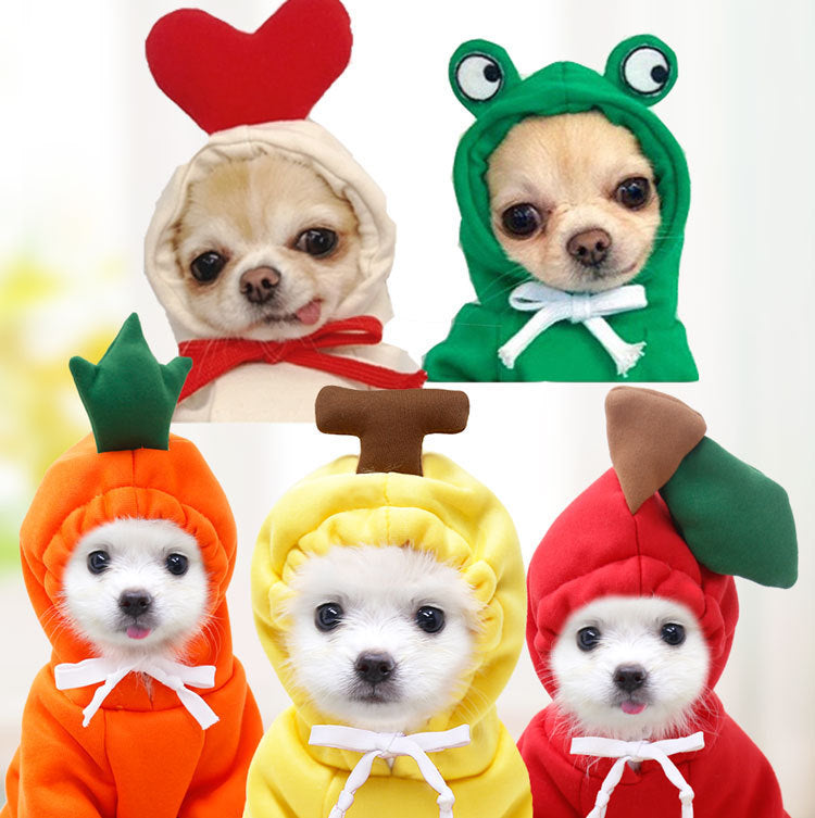 Six small dogs wearing the frog, heart, apple, banana, carrot and radish fleece hoodies